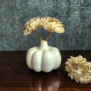 Small Ceramic Pumpkin  Vase - White