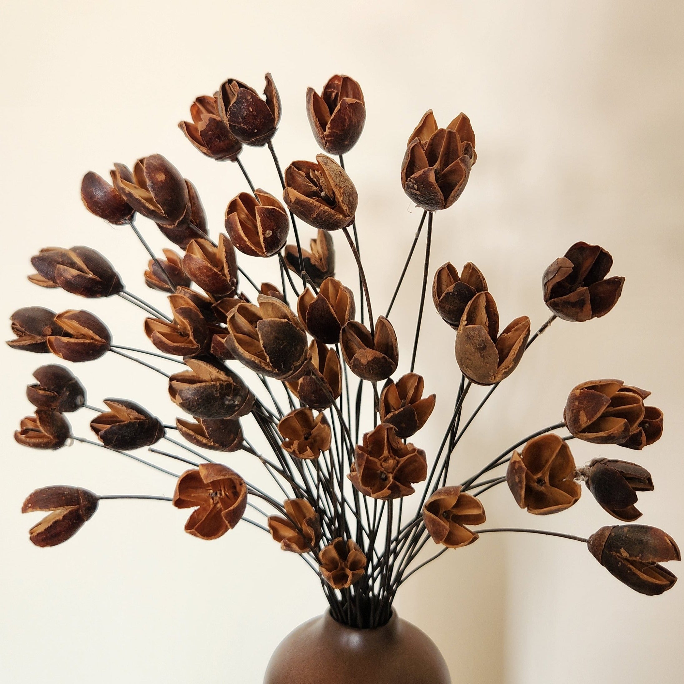 Bakul Dried Flower Bunch