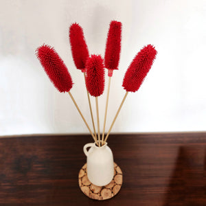Exotic Dried Flowers - Crimson Red