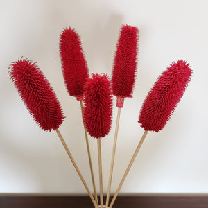 Exotic Dried Flowers - Crimson Red