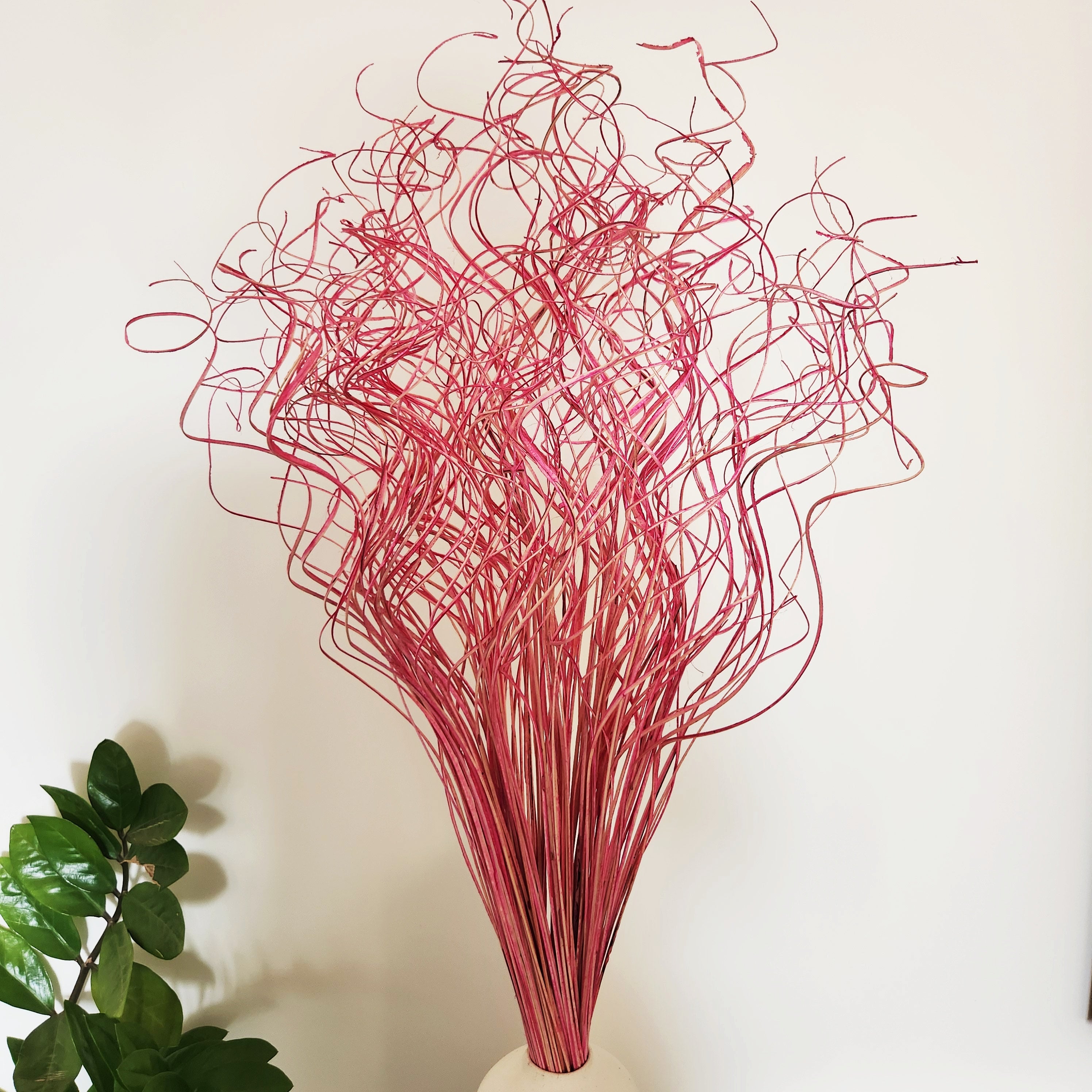 Artistic Curly Dries Bunch - Fuschia Pink