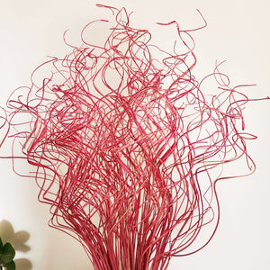 Artistic Curly Dries Bunch - Fuschia Pink