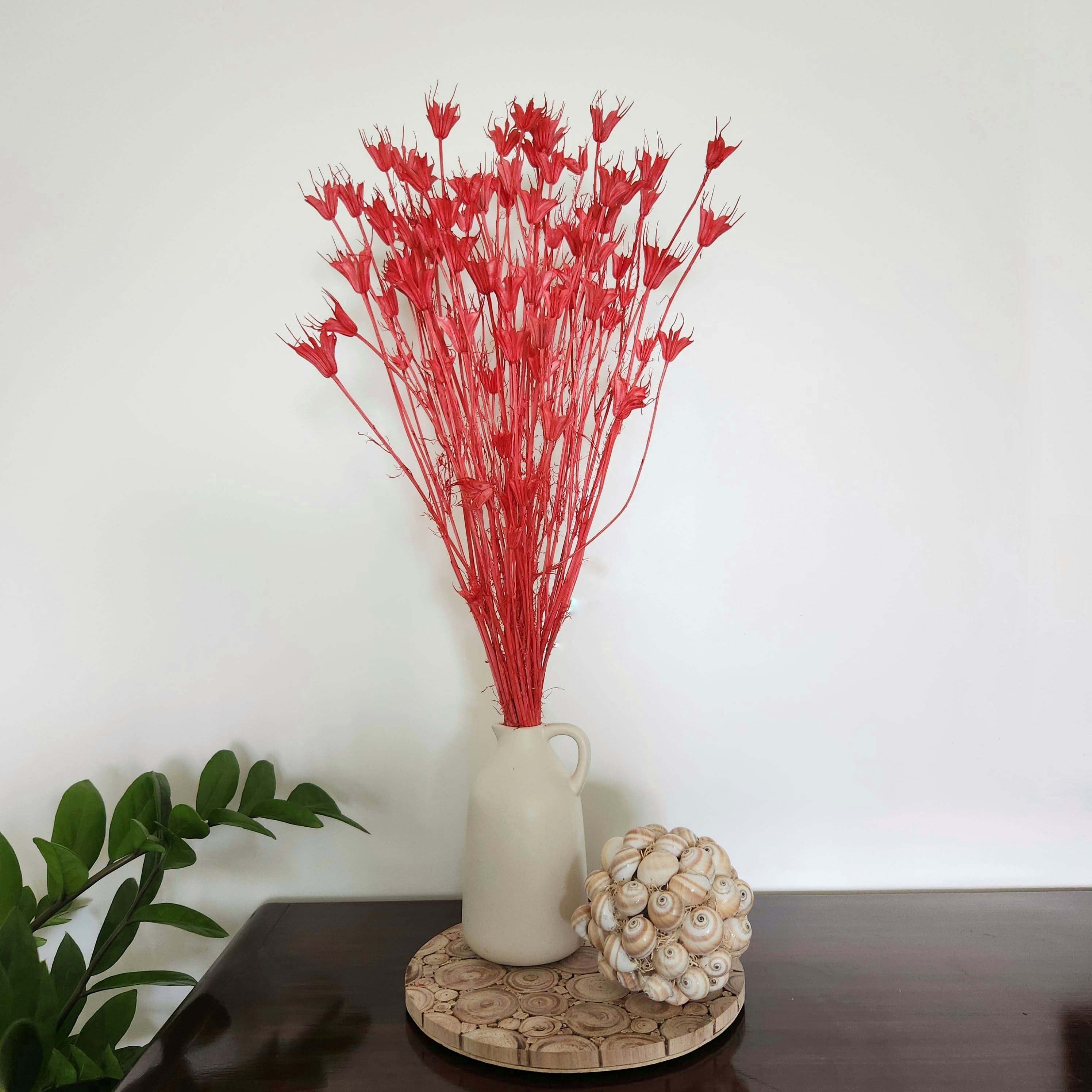Natural Dried Flowers - Coral Nigella