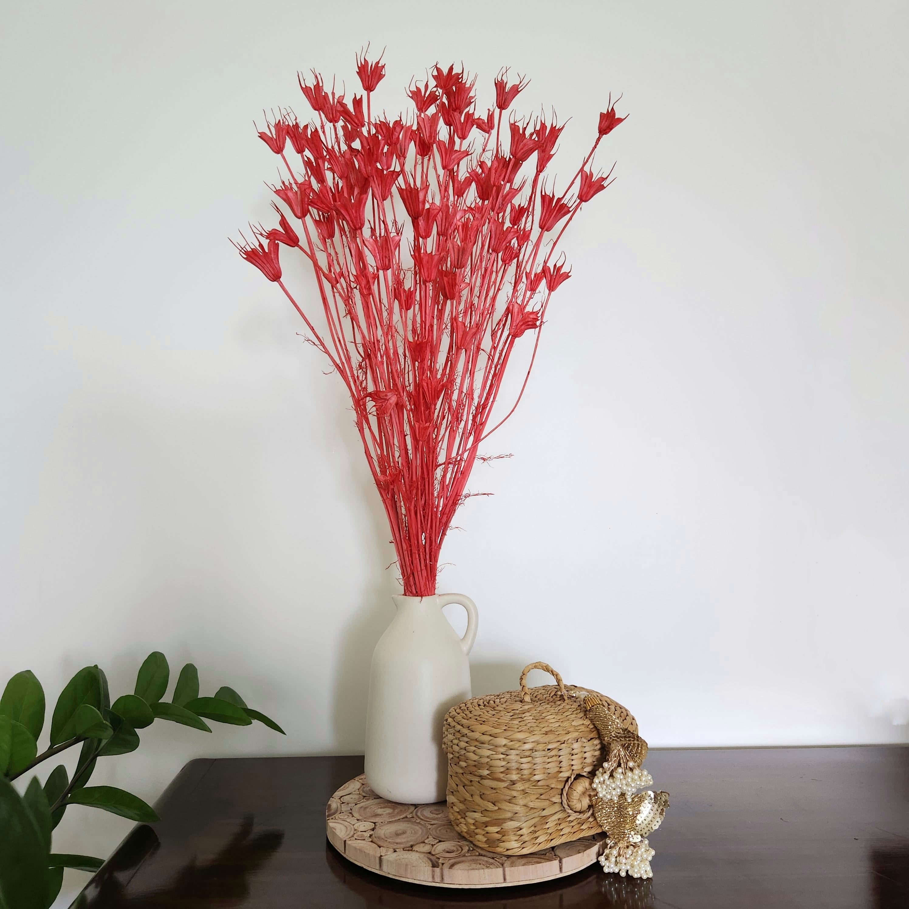 Natural Dried Flowers - Coral Nigella