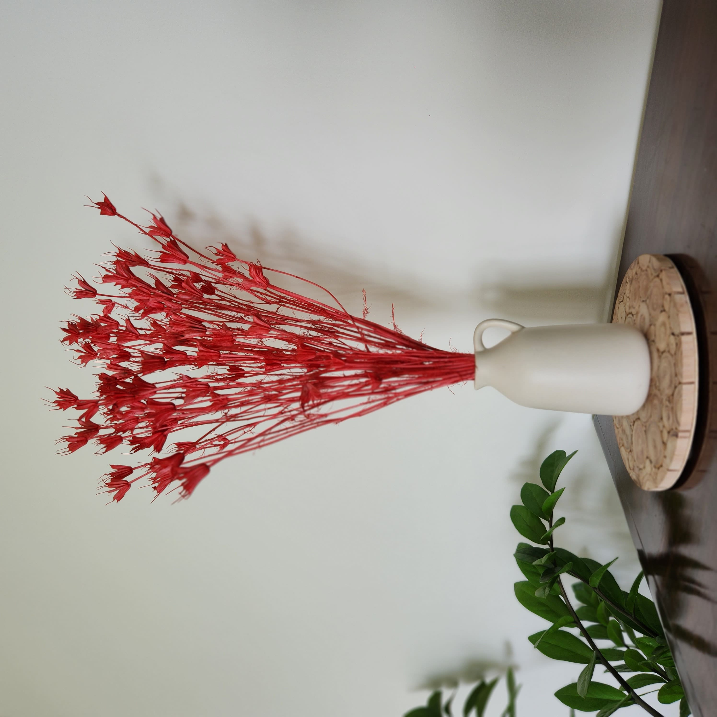 Natural Dried Flowers - Coral Nigella