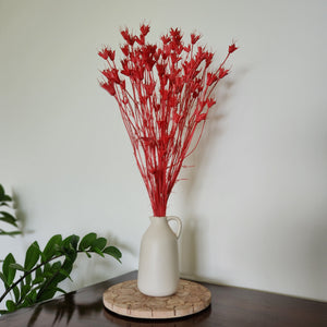Natural Dried Flowers - Coral Nigella