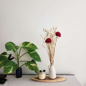 White Bunny Tails & Dried Flower Arrangement