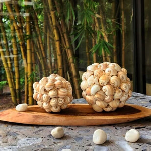 Shell Balls Coastal Decor - set of 2