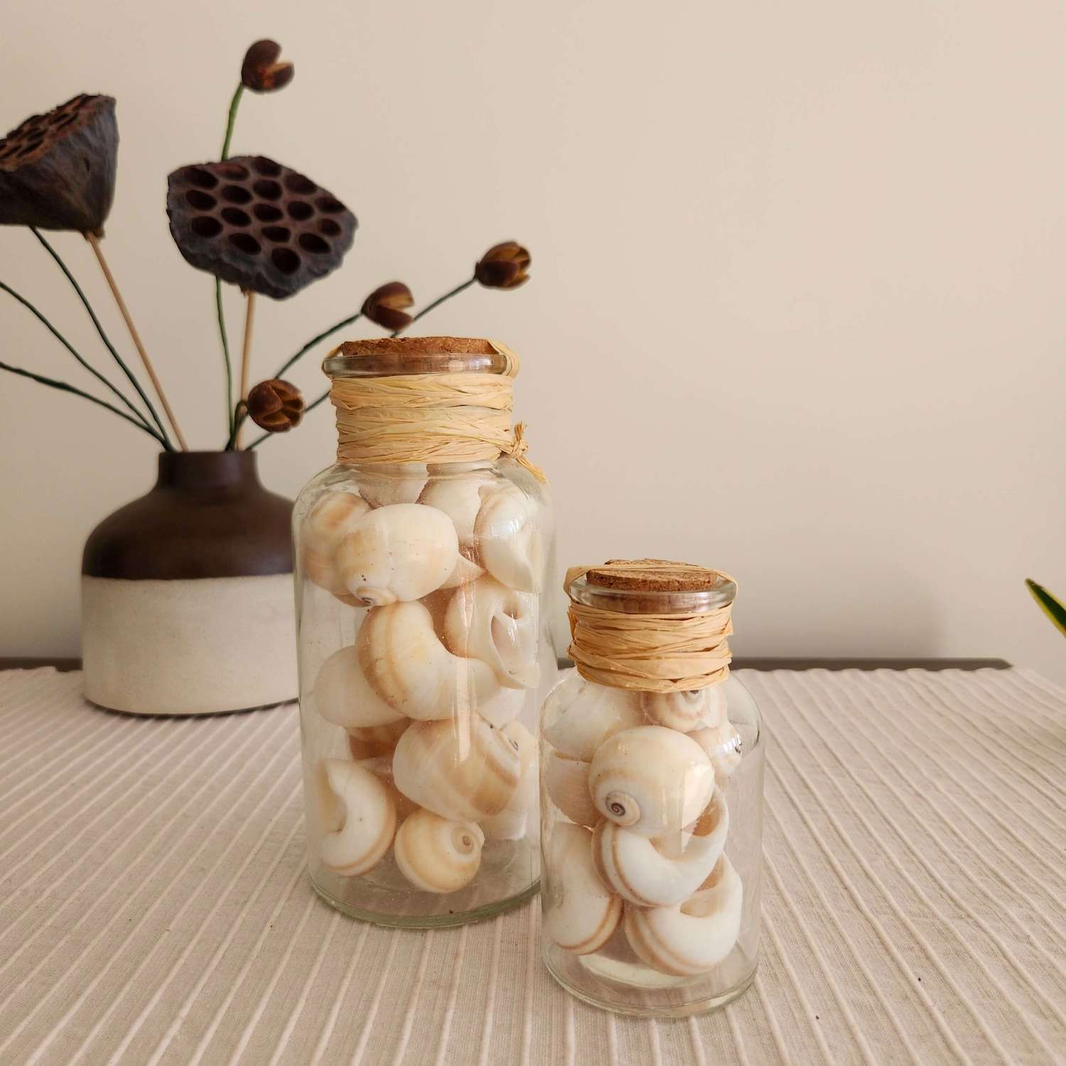 Shell Bottle Home Accent - Set of 2
