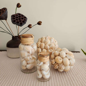 Shell Bottle Home Accent - Set of 2