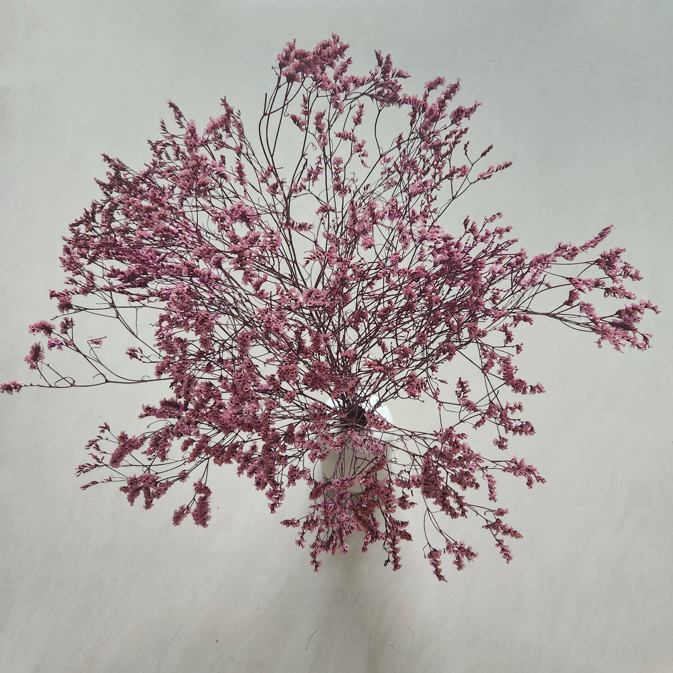 Blush Pink Dried Flower Arrangement