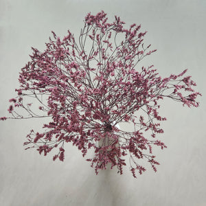 Blush Pink Dried Flower Arrangement