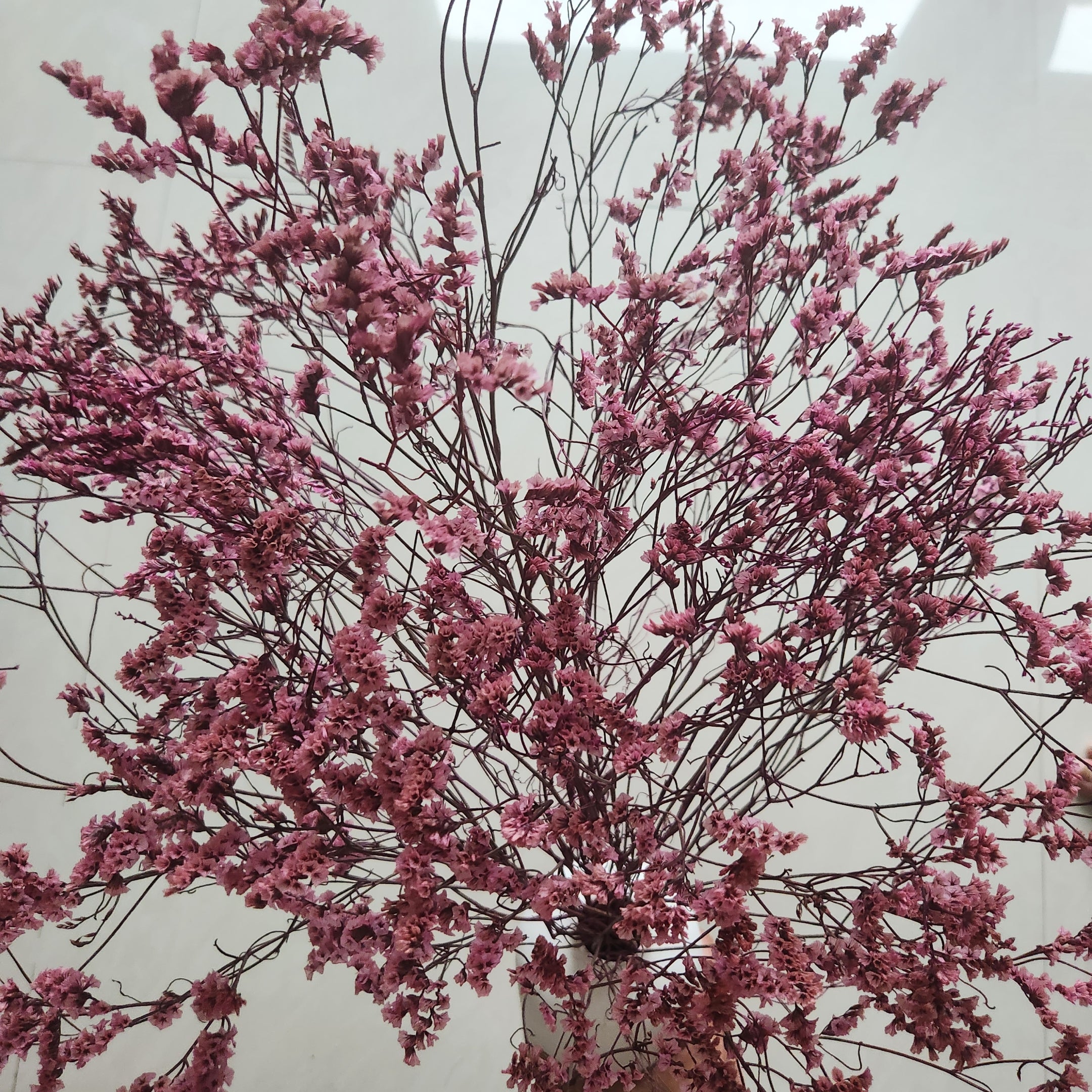 Blush Pink Dried Flower Arrangement