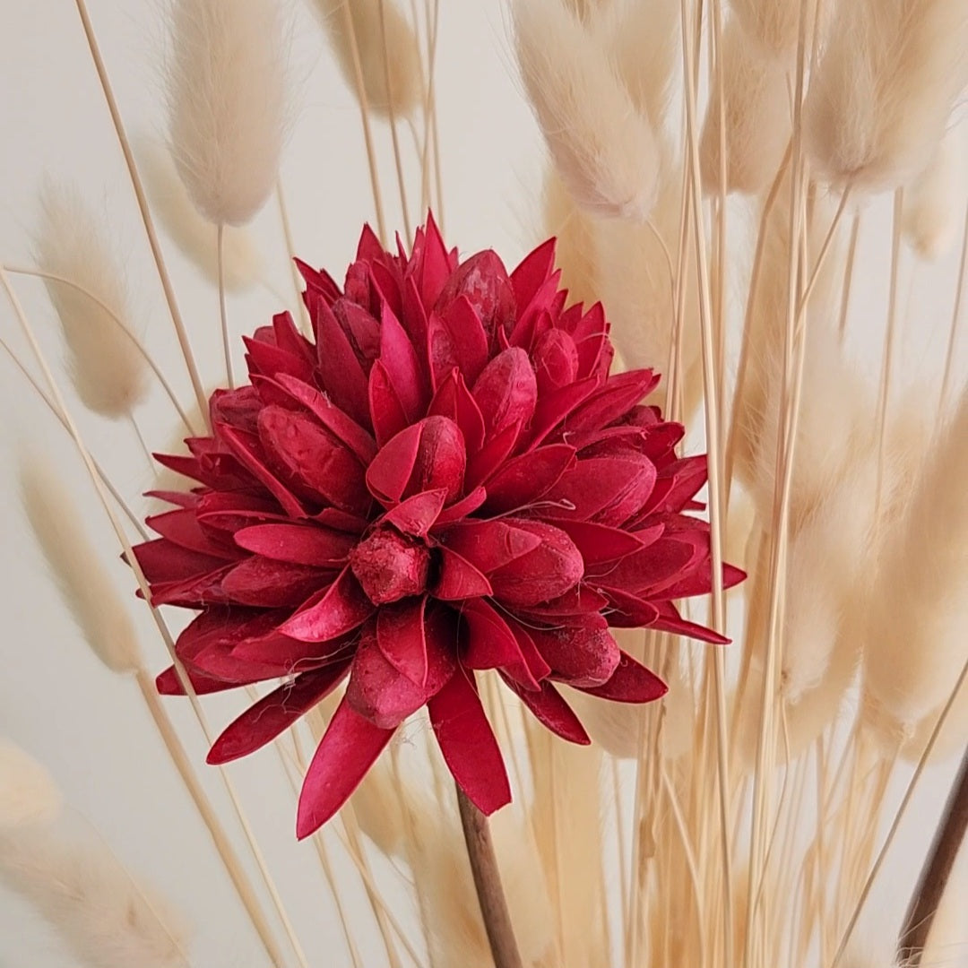 White Bunny Tails & Dried Flower Arrangement