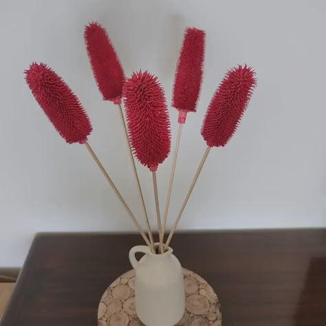 Exotic Dried Flowers - Crimson Red