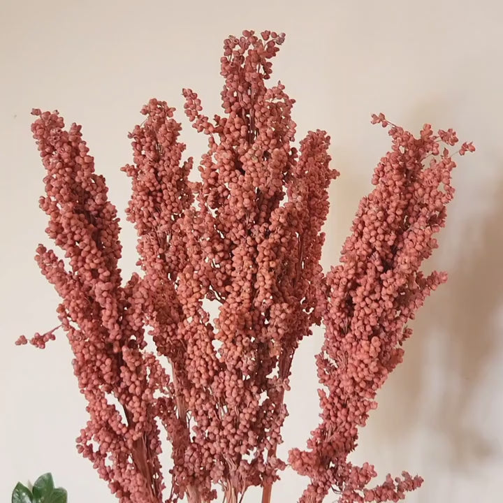 Corn Pod Stems - Set of 5